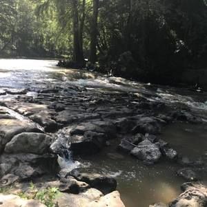 Meet your Posher, Katrina